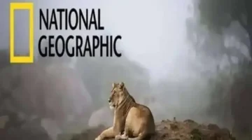 نزل التردد الجديد.. ناشيونال جيوغرافيك على نايل سات وعرب سات 2025